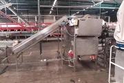 Newtec 2014A afweegmachine voor appels met opvoerband