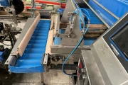 Newtec 2014A weigher for apples with 2 x PEB-40AE bag filling machine