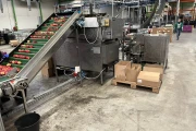 Newtec 2014A weigher and PEB 40AE wicketed bagger for apples