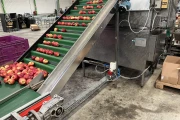 Newtec 2014A weigher and PEB 40AE wicketed bagger for apples