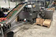 Newtec 2014A weigher and PEB 40AE wicketed bagger for apples