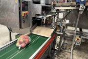 Newtec 2014A weigher and PEB 40AE wicketed bagger for apples