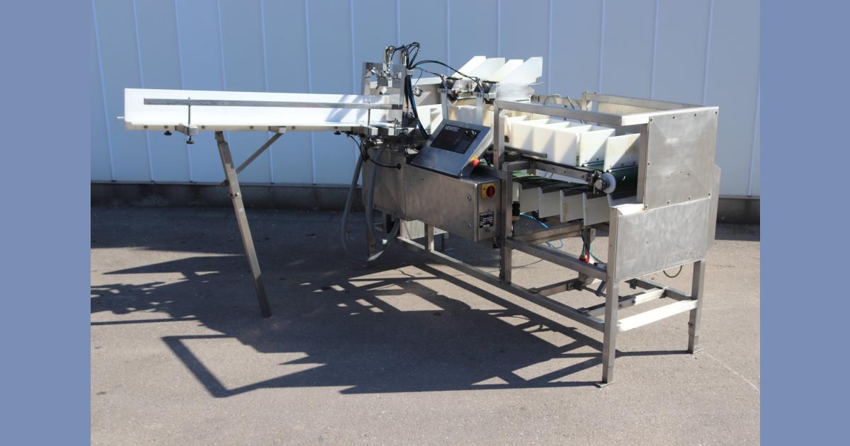 Newtec NBM50C punnet filling machine • Duijndam Machines