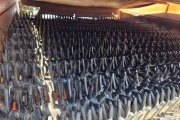 Nobels 2B harvester for carrots and flower bulbs