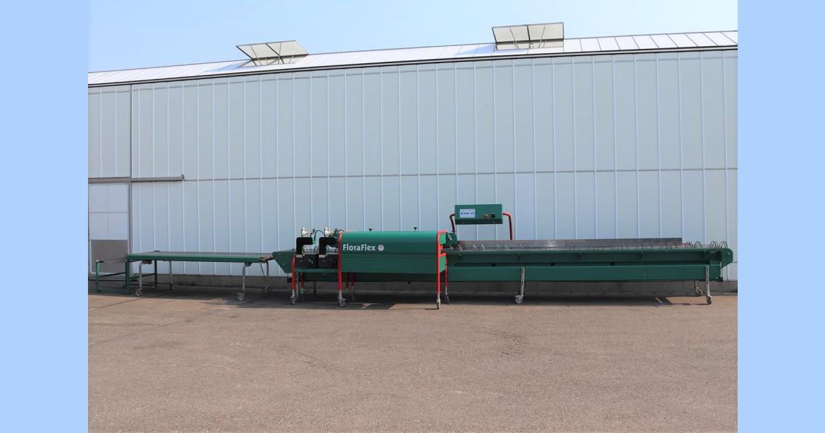 Olimex Floraflex bunching machine • Duijndam Machines