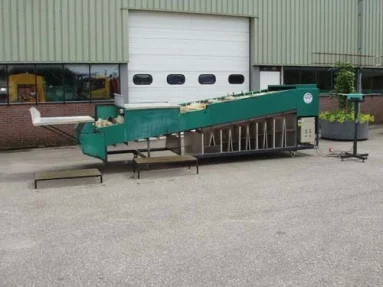 Olimex Super length sorting machine for roses • Duijndam Machines