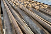 Onion neck topper 12 rolls 120 cm long