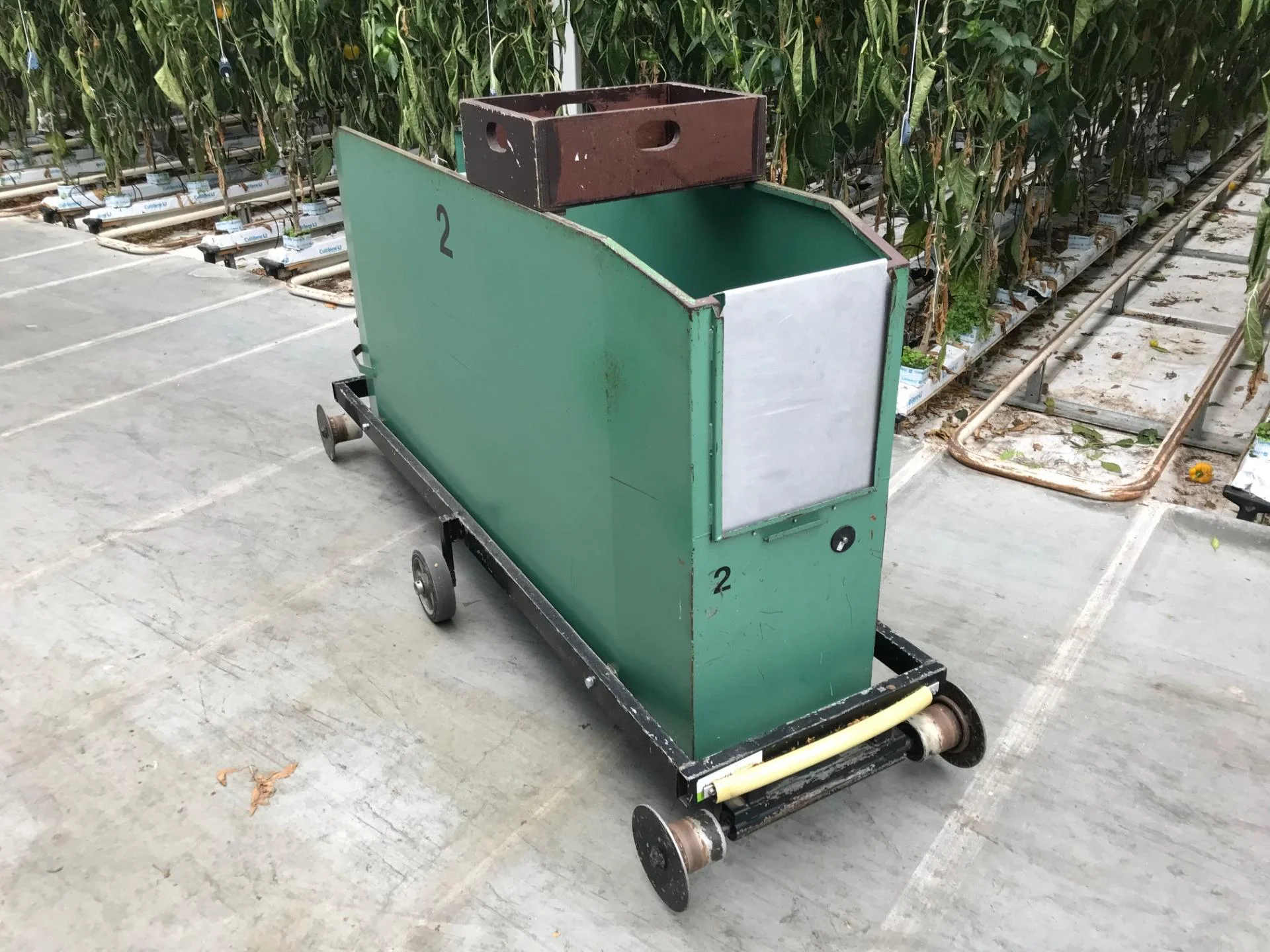 Peppers Container Rack B & S Harvesting containers for peppers • Duijndam Machines