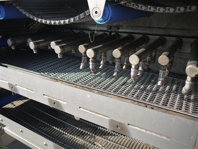 Полностью автоматическая линия сортировки и промывки спаржи Christiaens Agro Systems