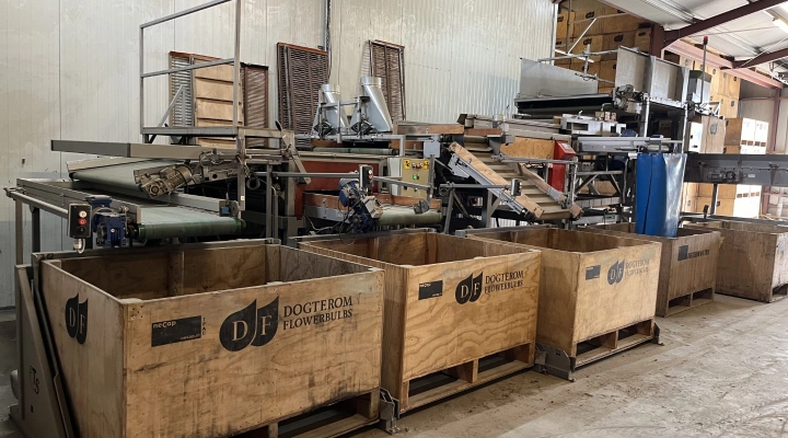 Potveer 160 cm sorteerlijn voor bloembollen