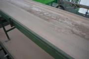potveer transportband (1)