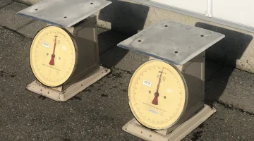 Cântărire cu ceas prealabil 30 kg