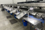 Proseal MC002 + slipmaster weighing line with 14 weighing positions for soft fruits with Slipstream lane divider