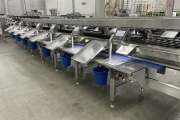 Proseal MC002 + slipmaster weighing line with 14 weighing positions for soft fruits with Slipstream lane divider