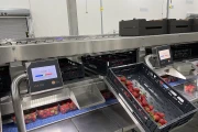 Proseal repackaging and weighing line for soft fruits, such as strawberries