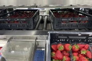 Proseal repackaging and weighing line for soft fruits, such as strawberries