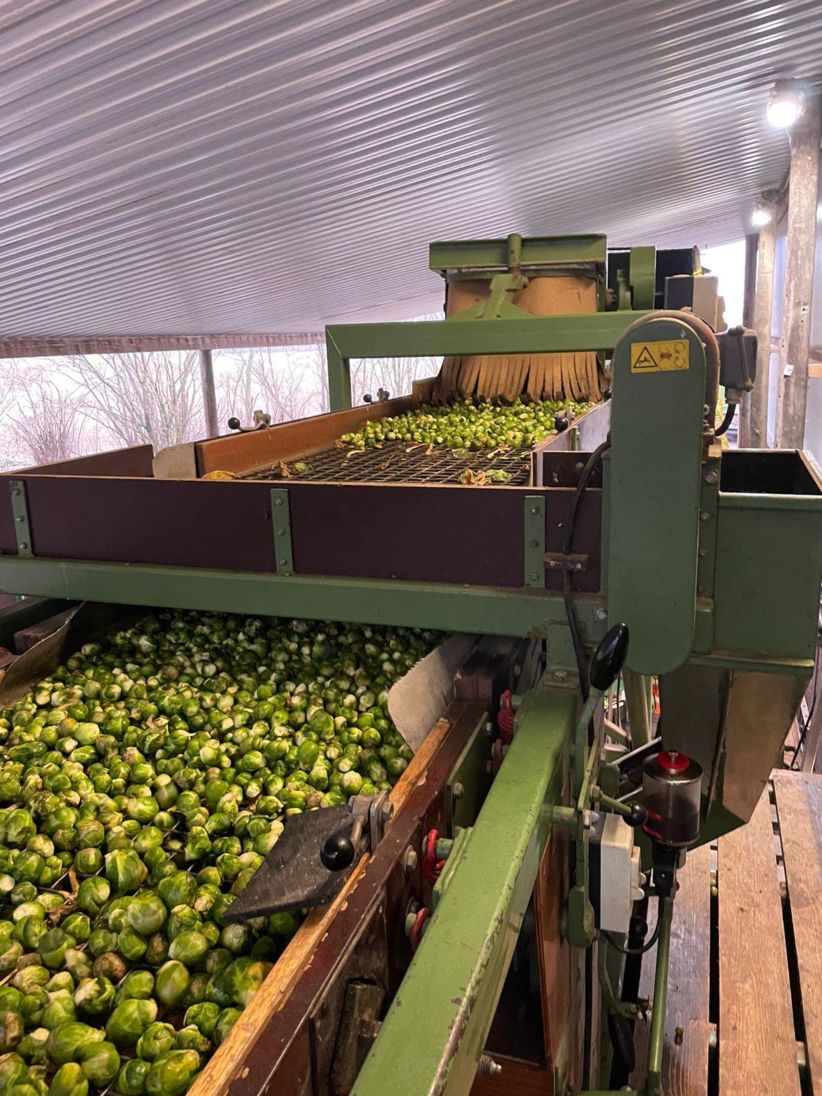 Schouten SMA 100/80-5 ��������-������������� ������ � ����������� � ����������
