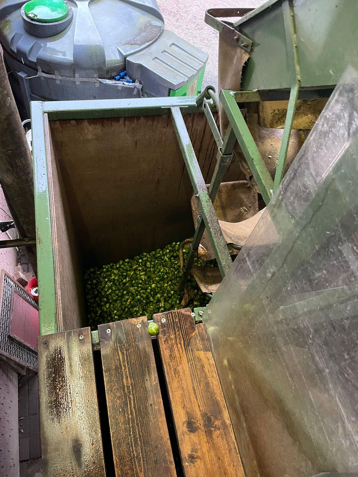 Schouten SMA 100/80-5 ��������-������������� ������ � ����������� � ����������