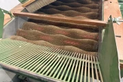 Schouten PTS 80-14 brushing machine for potatoes width 80 cm