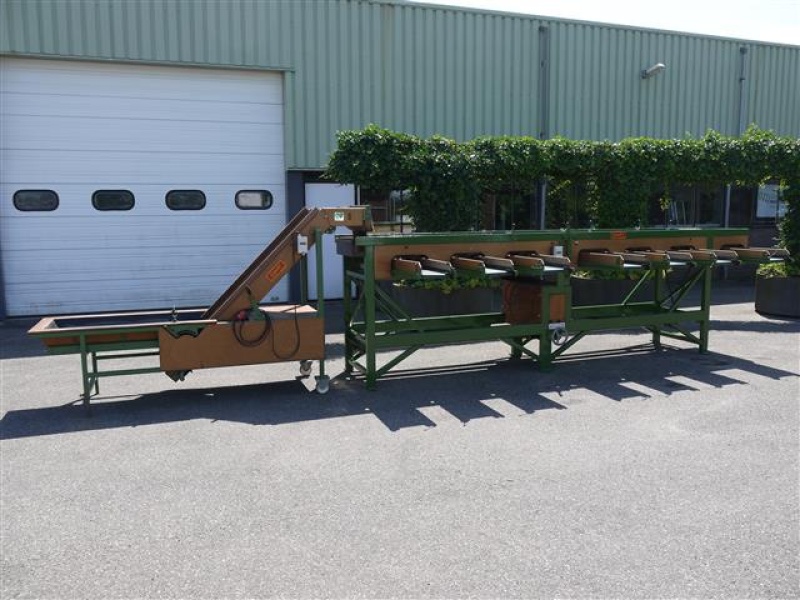 Nieuwe of tweedehands/gebruikte Sorteermachine te koop op Tractors and