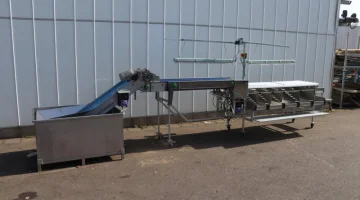 Machine à calibrer les cerises Siegwald avec cordes fuyantes