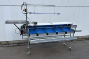 Siegwald Select cherry sorting machine