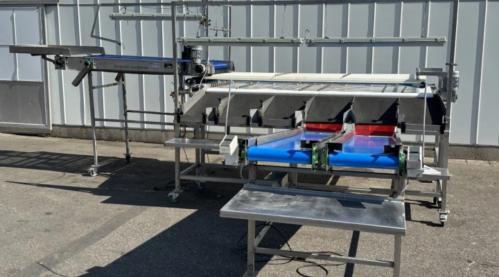 Siegwald Select Plus cherry sorting machine 5+1 sortings