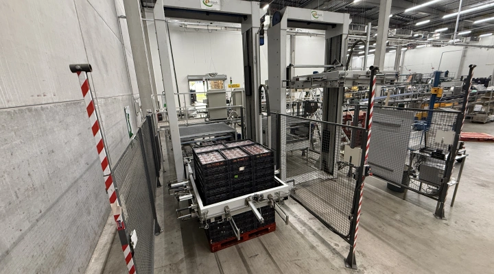 Sorma palletizer