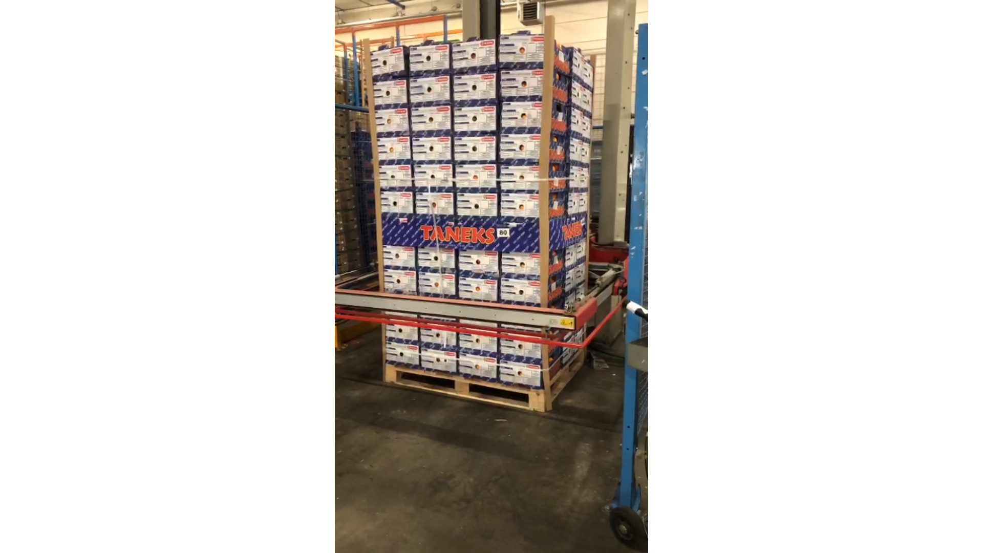 Sorma RMS 124 �����a ��� ������� ������