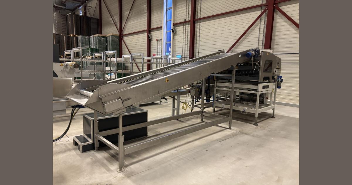 Sorma W12-126 weighing line with elevator, punnet filler and denester ...