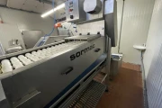 Sormac potato part cutting machine DMA-60