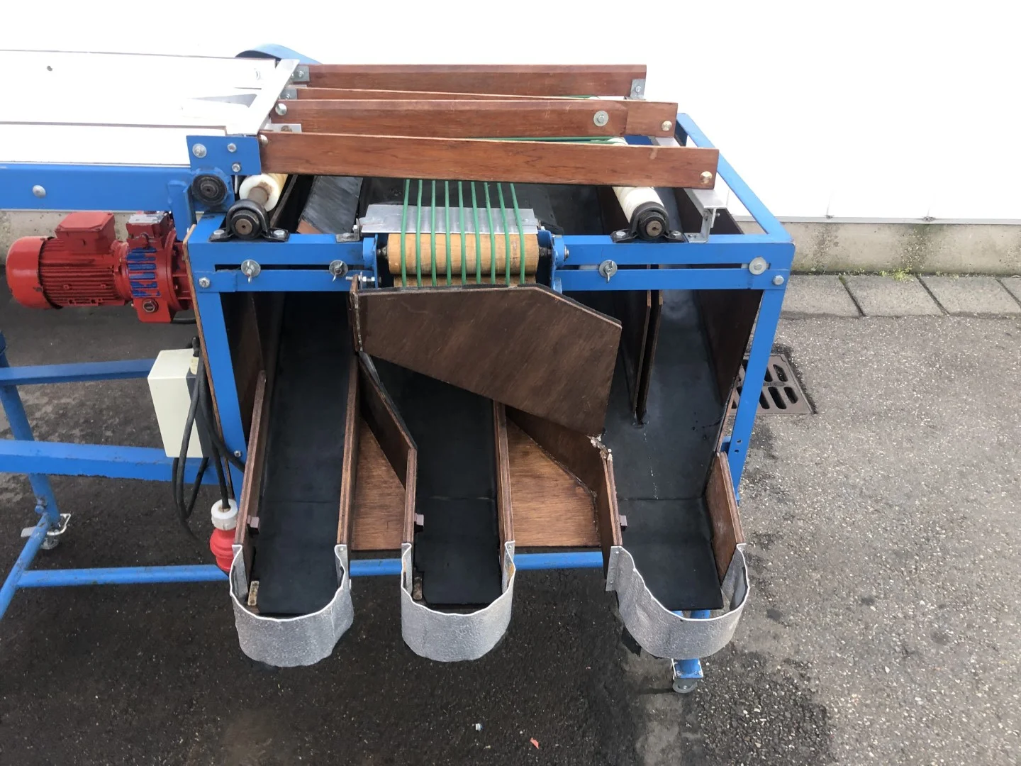 Sorting machine for blueberries with snares • Duijndam Machines