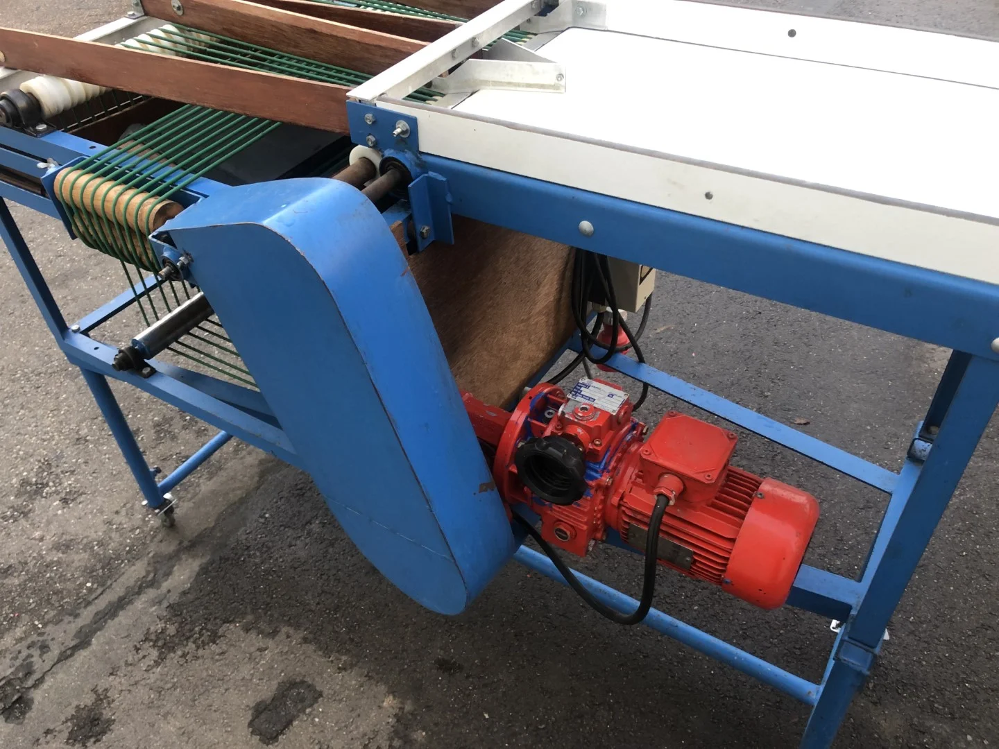 Sorting machine for blueberries with snares • Duijndam Machines