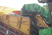 Spinnekop Combine receiving hopper with cleaner ,inspection conveyor and elevator