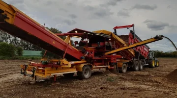 Spinnekop Combine trémie de réception avec nettoyeur, convoyeur d'inspection et élévateur