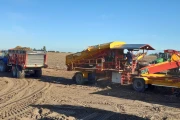 Spinnekop Combine receiving hopper with cleaner ,inspection conveyor and elevator