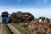 Spinnekop Combine receiving hopper with cleaner ,inspection conveyor and elevator