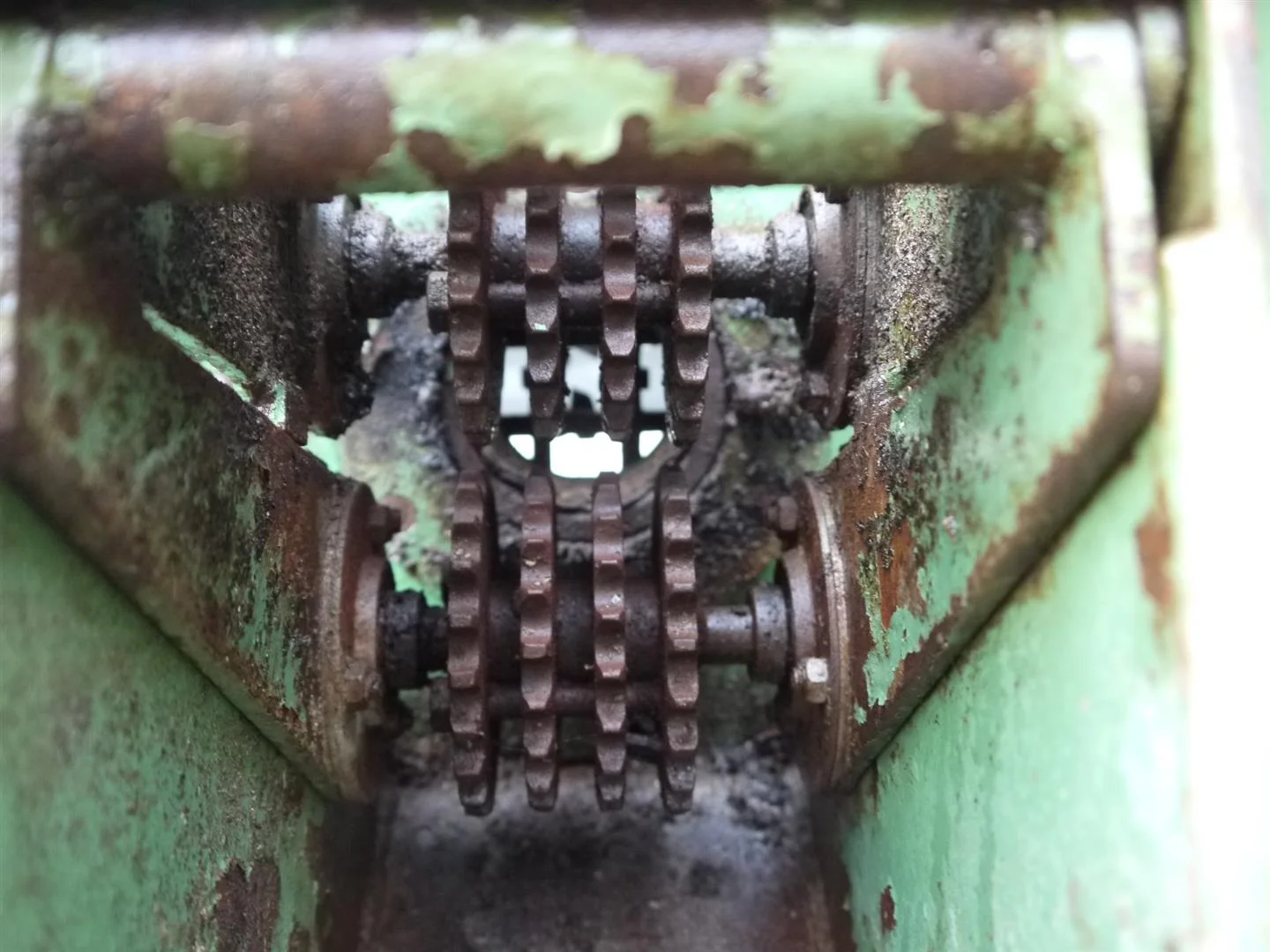 Jamafa harvesting machine for Brussel sprouts • Duijndam Machines