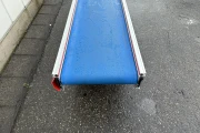 Stas conveyor 300 x 41 cm