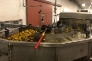 Stas water chanels for pears