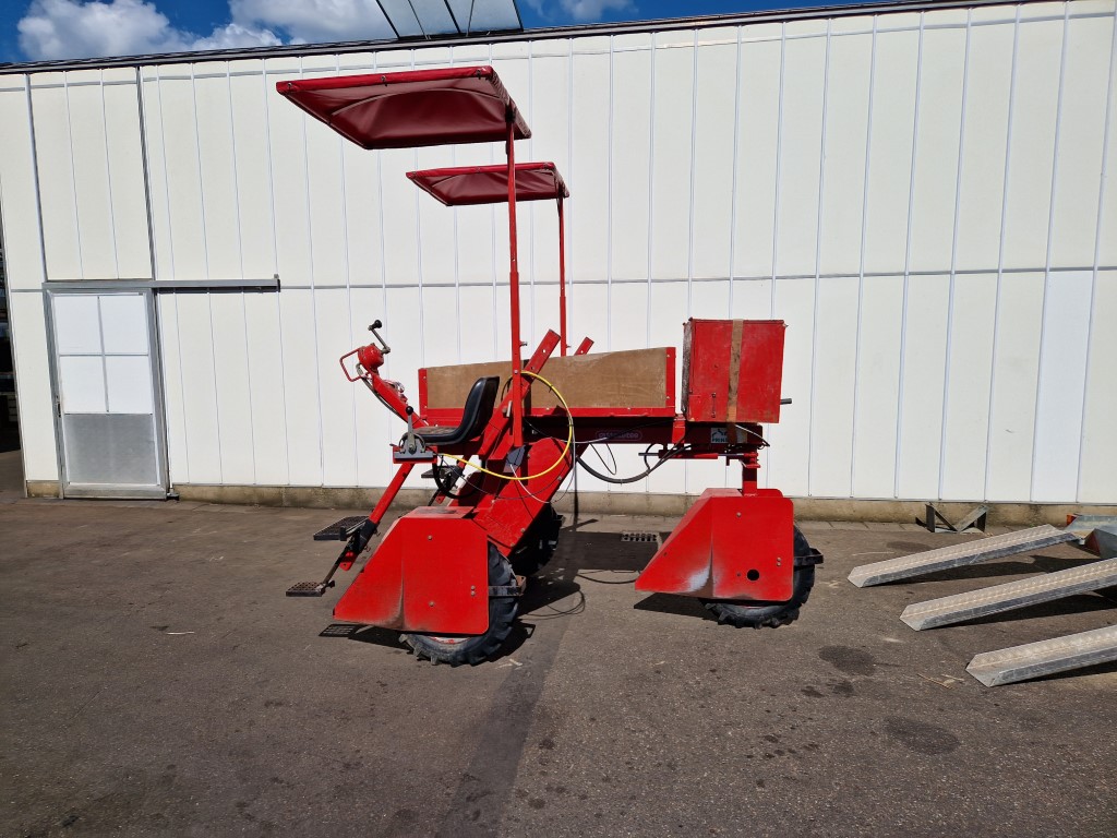 Steketee