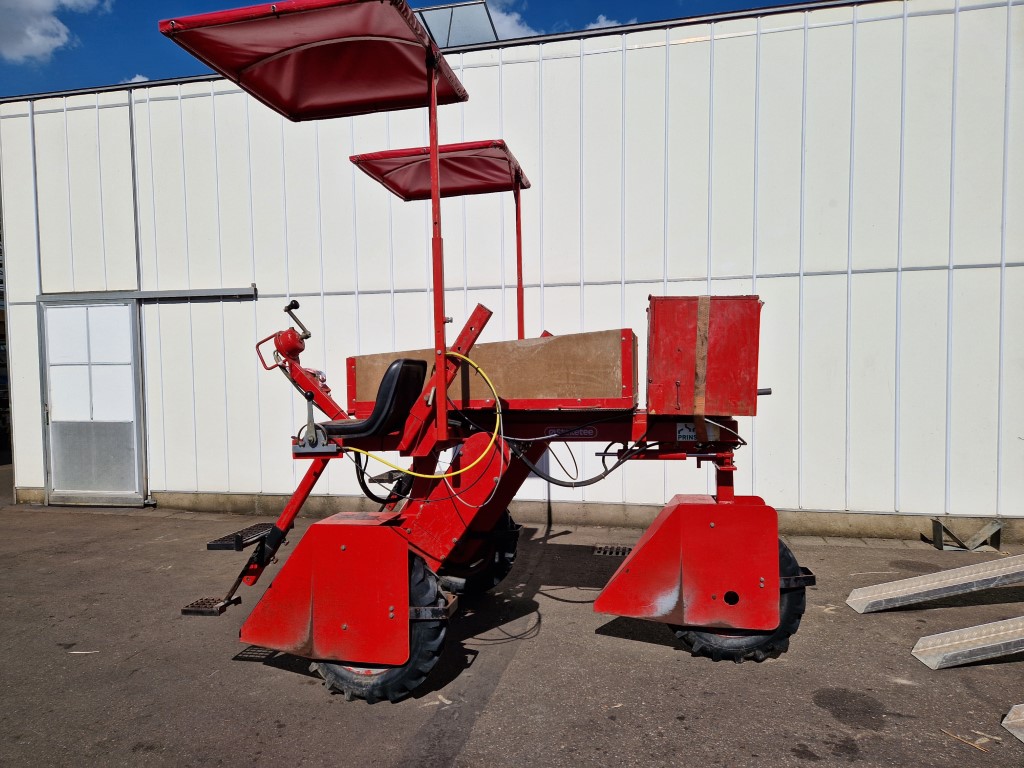 Steketee