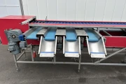 Strauss X 48307 asparagus sorting machine with cutting unit
