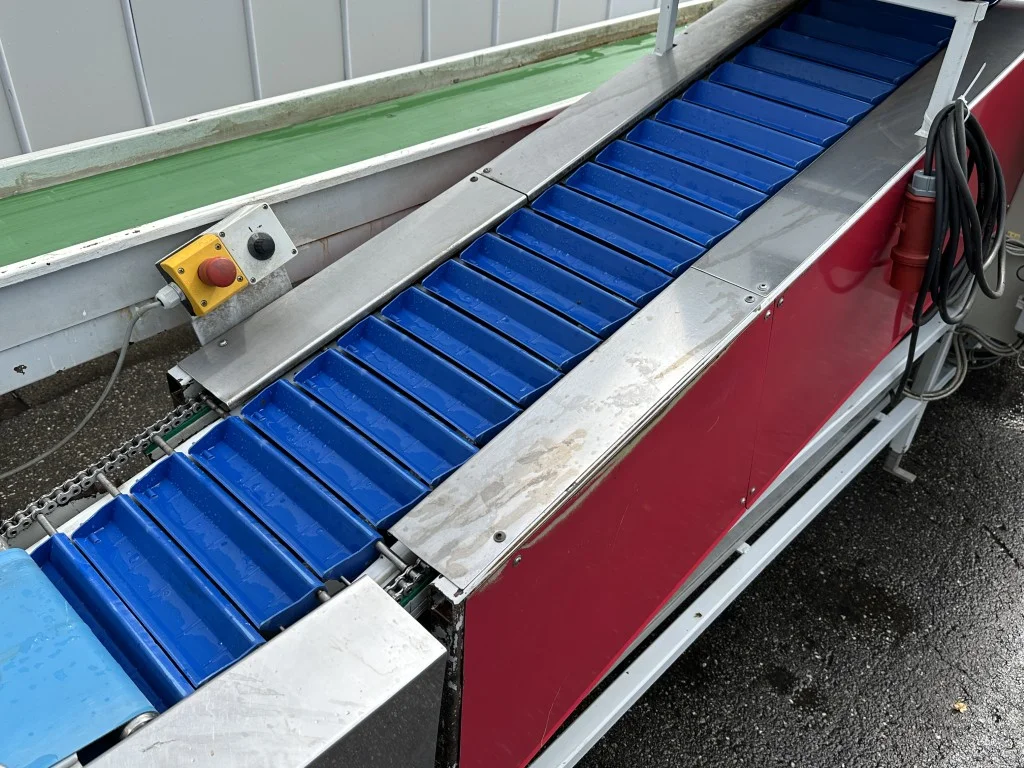 Strauss X28502 Asparagus combination weigher for asparagus with cutting ...