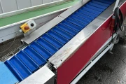 Strauss X28502 asparagus sorting machine