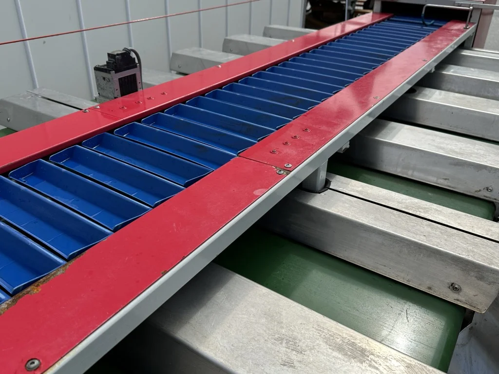 Strauss X28502 Asparagus combination weigher for asparagus with cutting ...