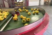 Taks curved conveyor 180°
