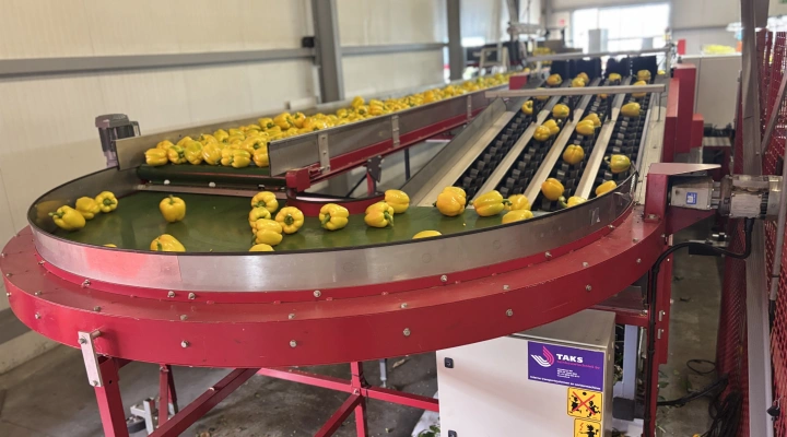 Taks curved conveyor 180°