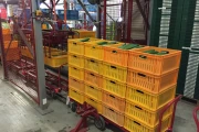 taks-unloading-system-cucumbers-boxes-harvesing-trolleys