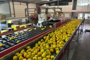 Taks vlakke transportband 1010 x 90 cm met meenemers